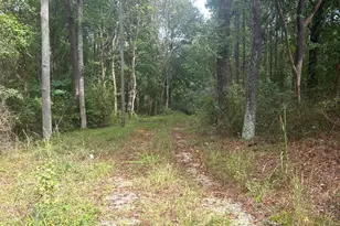 380 Cooper Branch Rd, Clayton, NC 27520 - Photo 8