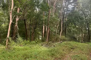 380 Cooper Branch Rd, Clayton, NC 27520 - Photo 6