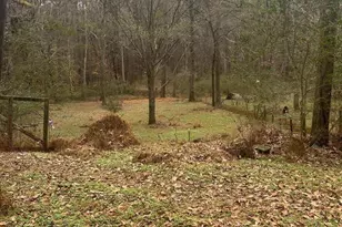 380 Cooper Branch Rd, Clayton, NC 27520 - Photo 10