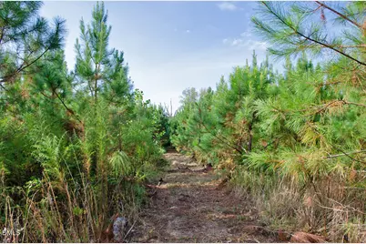 001 Sam Young Road, Oxford, NC 27565 - Photo 18