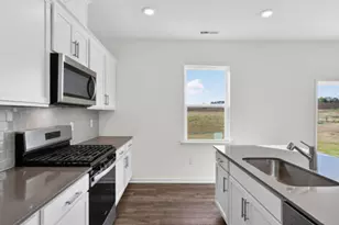 824 Comice Pear Wy, Willow Springs, NC 27592 - Photo 10
