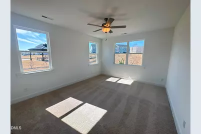 119 Vaughan Farms Drive #Lot 88, Angier, NC 27501 - Photo 30