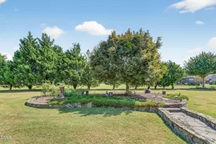 296 Shoreline Dr, Princeton, NC 27569 - Photo 56