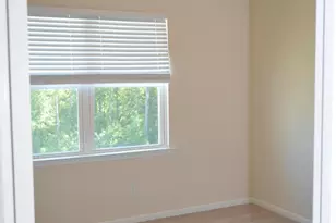 1126 Finch Ct, Apex, NC 27502 - Photo 36
