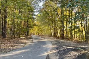 133 Oakmere Dr, Cary, NC 27513 - Photo 56