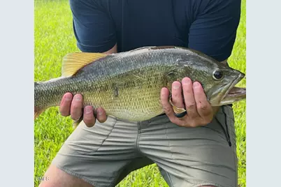 5316 Mill Dam Road, Wake Forest, NC 27587 - Photo 74