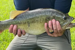 5316 Mill Dam Rd, Wake Forest, NC 27587 - Photo 74