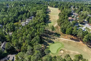 316 Chapel Ridge Dr, Pittsboro, NC 27312 - Photo 24