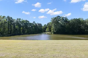 690 Hawthorne Pl, Creedmoor, NC 27522 - Photo 74