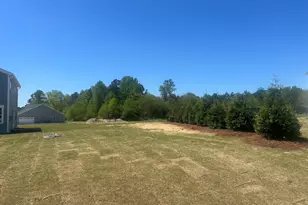 20 Mendenhall Dr, Angier, NC 27501 - Photo 4