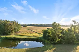 5575 River Buck Rd, Spring Hope, NC 27882 - Photo 34