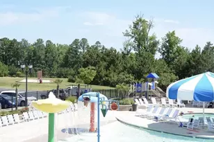 103 Sea Glass Ct, Cary, NC 27519 - Photo 24