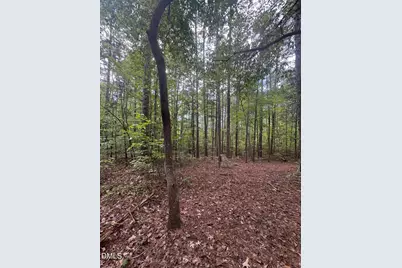 00 New Mayo Drive Drive, Roxboro, NC 27574 - Photo 12