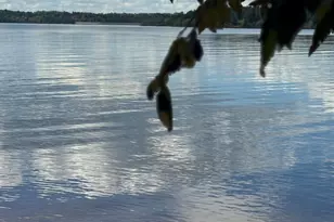 00 New Mayo Dr Dr, Roxboro, NC 27574 - Photo 1