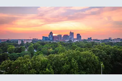 1103 Alfonso Lane #Dt-D2, Durham, NC 27703 - Photo 16