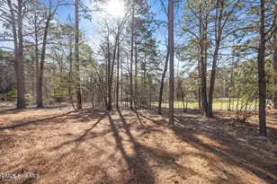 2177 Aiport Rd, Whispering Pines, NC 28327 - Photo 40