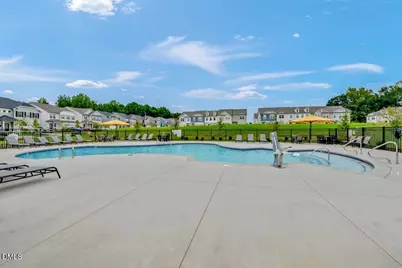 207 Blue Butterfly Drive, Angier, NC 27501 - Photo 30