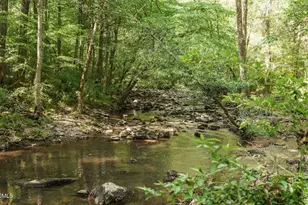 334 Blufftonwood Dr, Pittsboro, NC 27312 - Photo 10