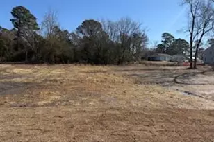 58 Stout Lndg, Dunn, NC 28334 - Photo 4