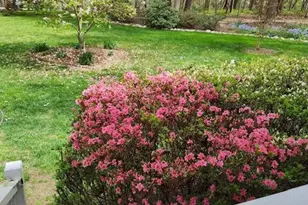 127 Cobblebrook Dr, Rougemont, NC 27572 - Photo 38