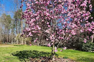 127 Cobblebrook Dr, Rougemont, NC 27572 - Photo 40