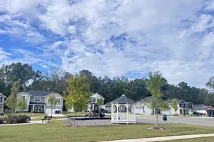710 Dunlawton Ct, Sanford, NC 27330 - Photo 46