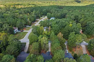 218 River Hills Dr, Clayton, NC 27527 - Photo 52