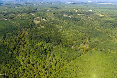 262 Ellis Road, Moncure, NC 27559 - Photo 24