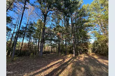 1539 Schloss Road, Louisburg, NC 27549 - Photo 10