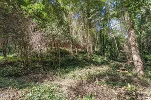 1312 Onslow Rd, Raleigh, NC 27606 - Photo 26