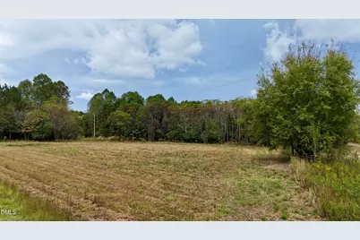 Lot 2 Joe Collins Road, Lillington, NC 27546 - Photo 8