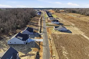 402 Creeks Edge Dr, Pikeville, NC 27863 - Photo 40