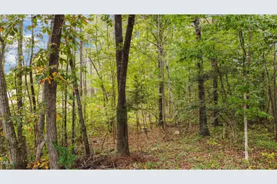 230 Big Buck Road, Henderson, NC 27537 - Photo 36