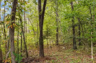 230 Big Buck Rd, Henderson, NC 27537 - Photo 36