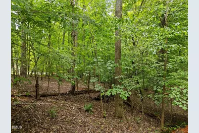 1037 Sunshine Circle, Stem, NC 27581 - Photo 12