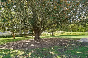 2239 Barber Mill Rd, Clayton, NC 27520 - Photo 6