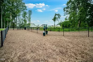 768 Shea Hl Dr, Angier, NC 27501 - Photo 46