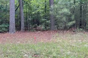 9033 Collins Creek Dr, Chapel Hill, NC 27516 - Photo 4