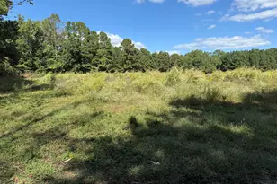 3718 Hinton Mill Ct, Franklinton, NC 27525 - Photo 4