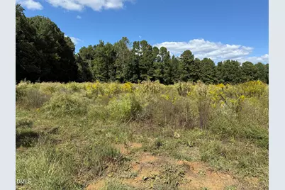 3718 Hinton Mill Court, Franklinton, NC 27525 - Photo 2