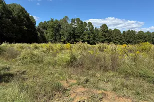 3718 Hinton Mill Ct, Franklinton, NC 27525 - Photo 2