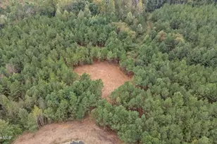 150 Hickory Pointer Wy, Cameron, NC 28326 - Photo 50