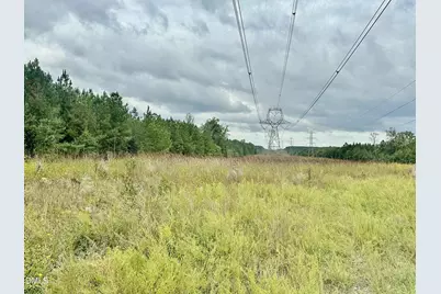 18.2 Acres Range Road, Rougemont, NC 27572 - Photo 4