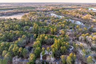 335 Sprunt Dr, Clinton, NC 28328 - Photo 50