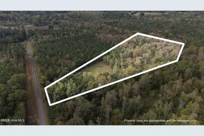 1435 Pineywood Church Road, Cameron, NC 28326 - Photo 2