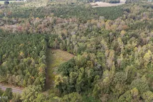 1435 Pineywood Church Rd, Cameron, NC 28326 - Photo 10