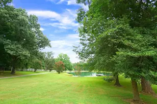 8509 Stagville Rd, Bahama, NC 27503 - Photo 74