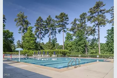 77 Ruffed Grouse, Chapel Hill, NC 27517 - Photo 70