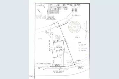 77 Ruffed Grouse, Chapel Hill, NC 27517 - Photo 14