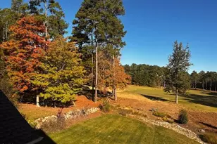 77 Ruffed Grouse, Chapel Hill, NC 27517 - Photo 76